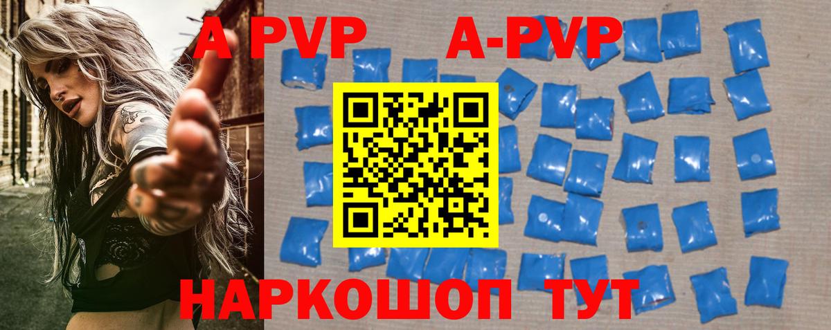 A PVP СК Салехард