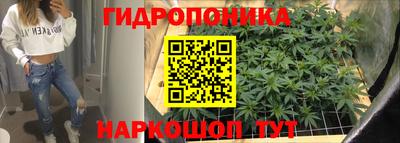 прущие крисы Донской
