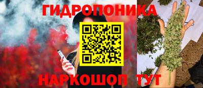 прущие крисы Донской