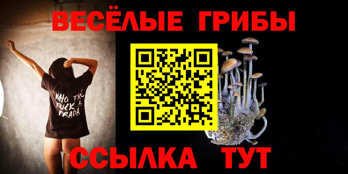 Псилоцибиновые грибы Magic Shrooms  Вход с VPN  Галлюциногенные грибы мицелий  Салехард 